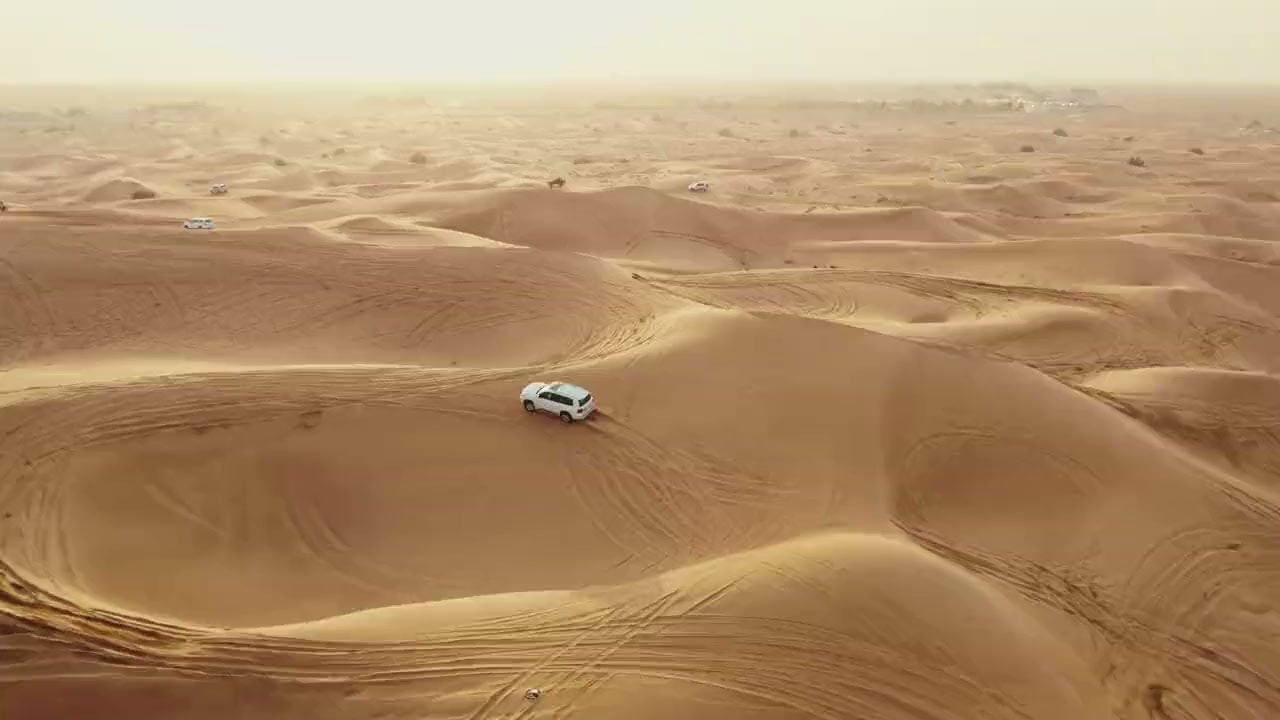 Desert Safari